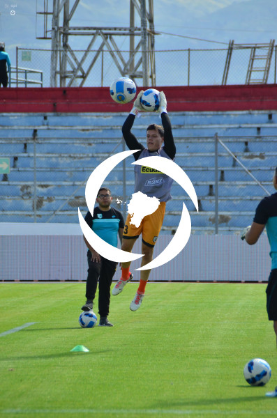 FBL LIGA PRO ECUABET CUMBAYA DELFIN.
