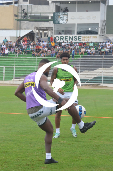 FBL-LIGAPRO-ORENSE-DELFIN