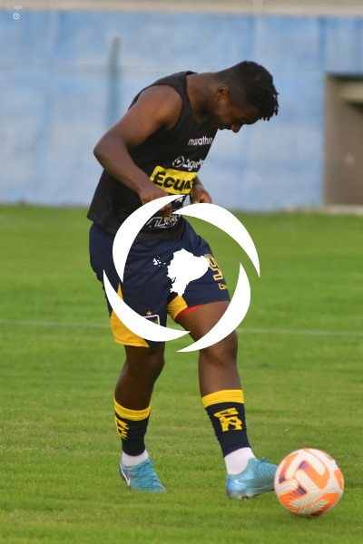 FBL-LIGAPRO-MANTA-DELFIN