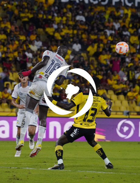 FBL-LIGAPRO-BARCELONA-DELFIN