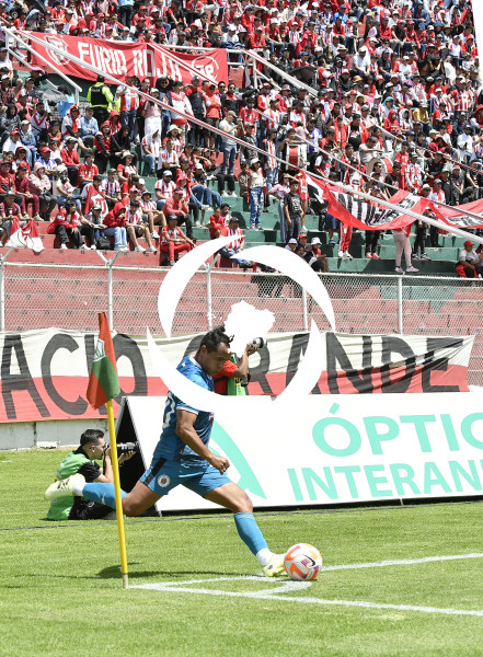 FBL LIGA PRO TECNICO VINO TINTO