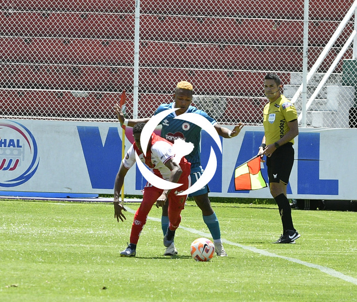 FBL LIGA PRO TECNICO VINO TINTO