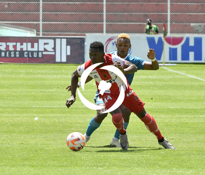 FBL LIGA PRO TECNICO VINO TINTO