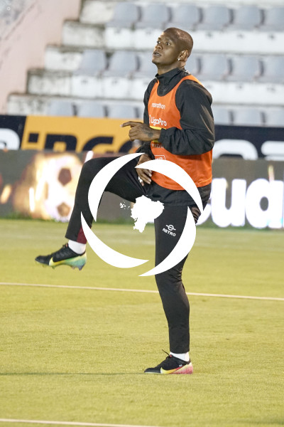 FBL LIGA PRO MACARA VINO TINTO