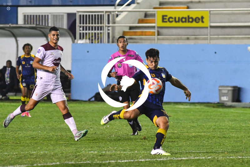 FBL-LIGAPRO-DELFIN-VINO TINTO