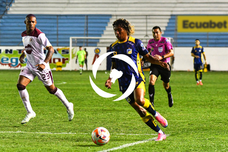 FBL-LIGAPRO-DELFIN-VINO TINTO