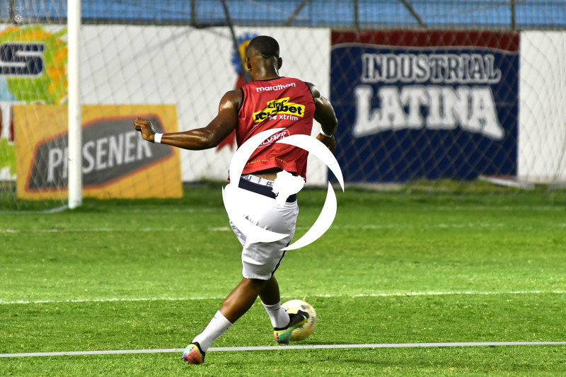 FBL-LIGAPRO-DELFIN-VINO TINTO