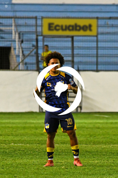 FBL-LIGAPRO-DELFIN-VINO TINTO