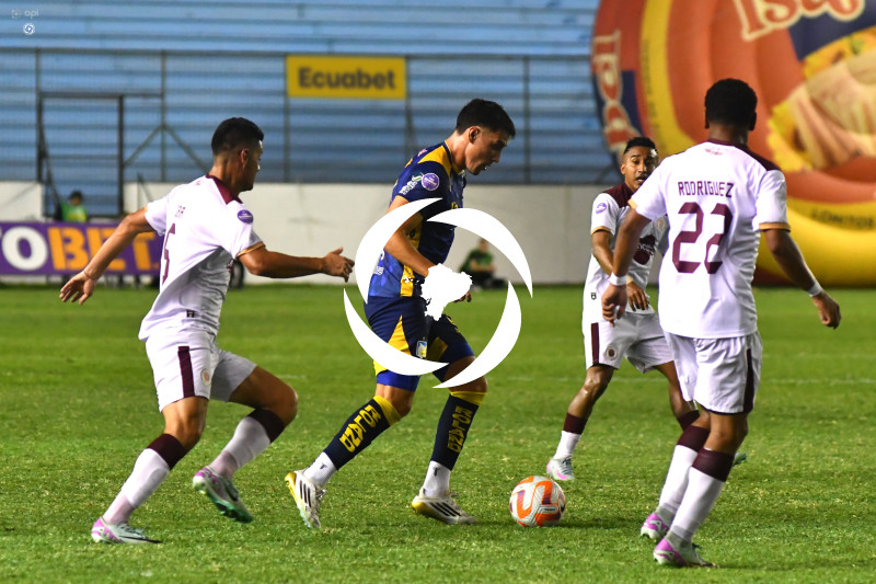 FBL-LIGAPRO-DELFIN-VINO TINTO