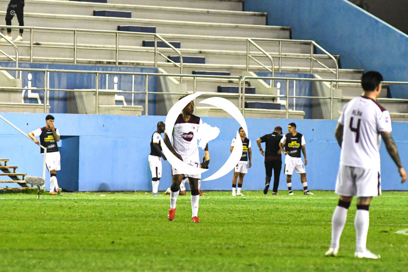 FBL-LIGAPRO-DELFIN-VINO TINTO