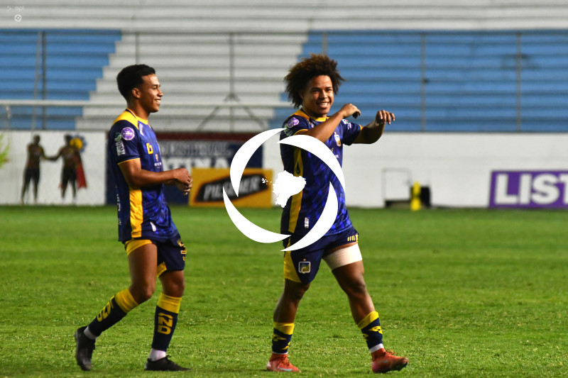 FBL-LIGAPRO-DELFIN-VINO TINTO