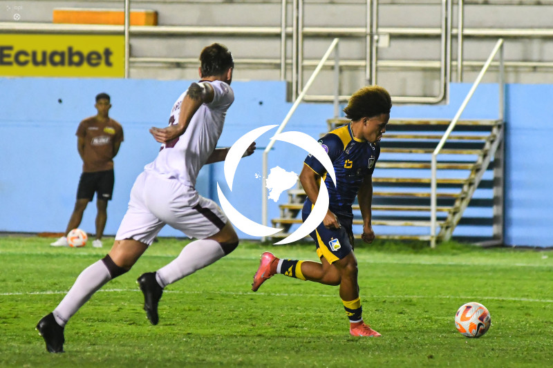 FBL-LIGAPRO-DELFIN-VINO TINTO