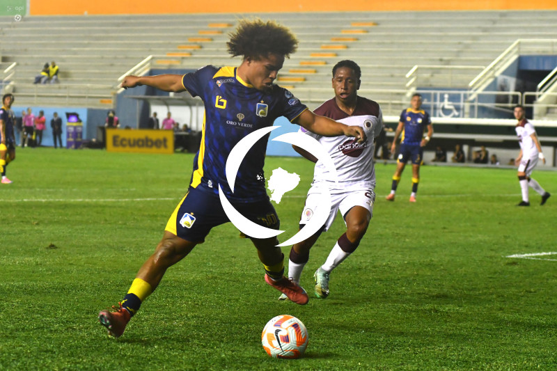 FBL-LIGAPRO-DELFIN-VINO TINTO