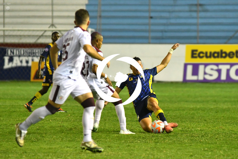 FBL-LIGAPRO-DELFIN-VINO TINTO