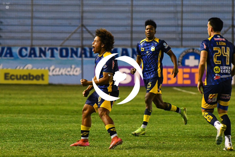 FBL-LIGAPRO-DELFIN-VINO TINTO