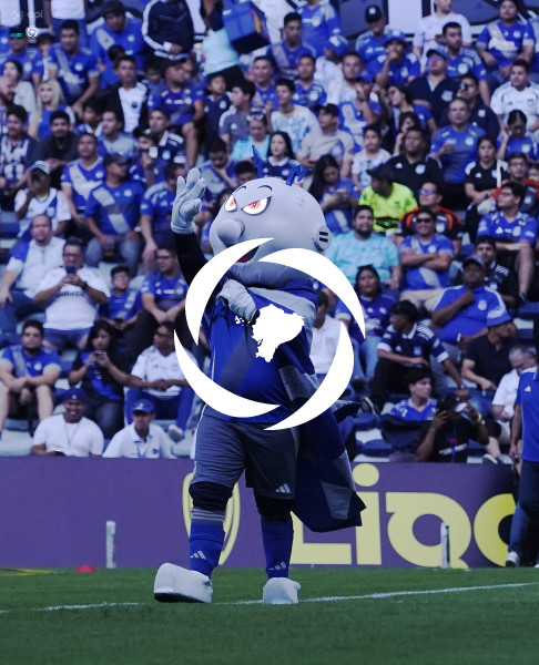 FBL-CARNAVAL AZUL